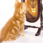 Les 3 techniques imparables de Confiance en soi qui marchent mieux que tout le reste